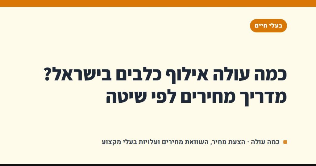 כמה עולה אילוף כלבים בישראל? מדריך מחירים לפי שיטה