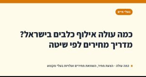 כמה עולה אילוף כלבים בישראל? מדריך מחירים לפי שיטה