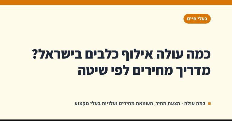 כמה עולה אילוף כלבים בישראל? מדריך מחירים לפי שיטה